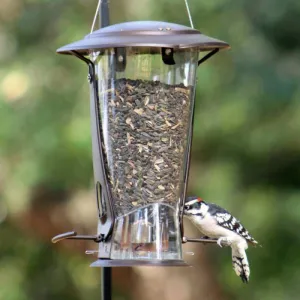 Classic Brands Squirrel X-2 Squirrel Resistant Bird Feeder